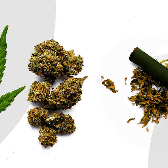 A hemp leaf, dry sift hash or kief and a pre-roll lie next to each other.