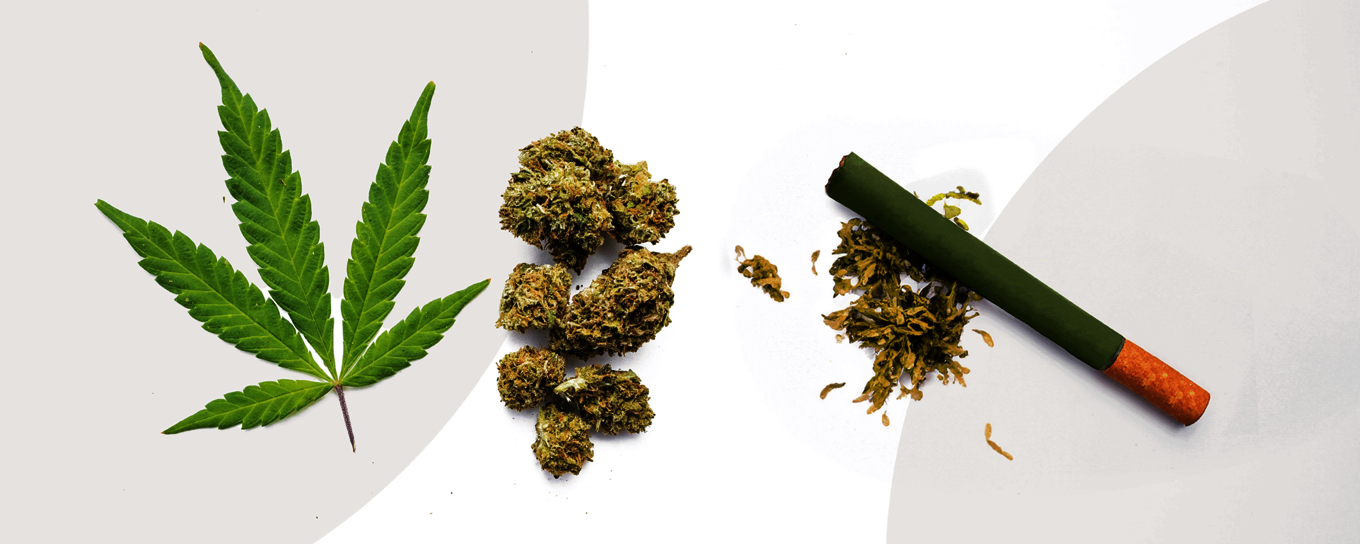 Es liegen ein Hanfblatt, Dry Sift Hash oder Kief und eine Pre-Roll nebeneinander.